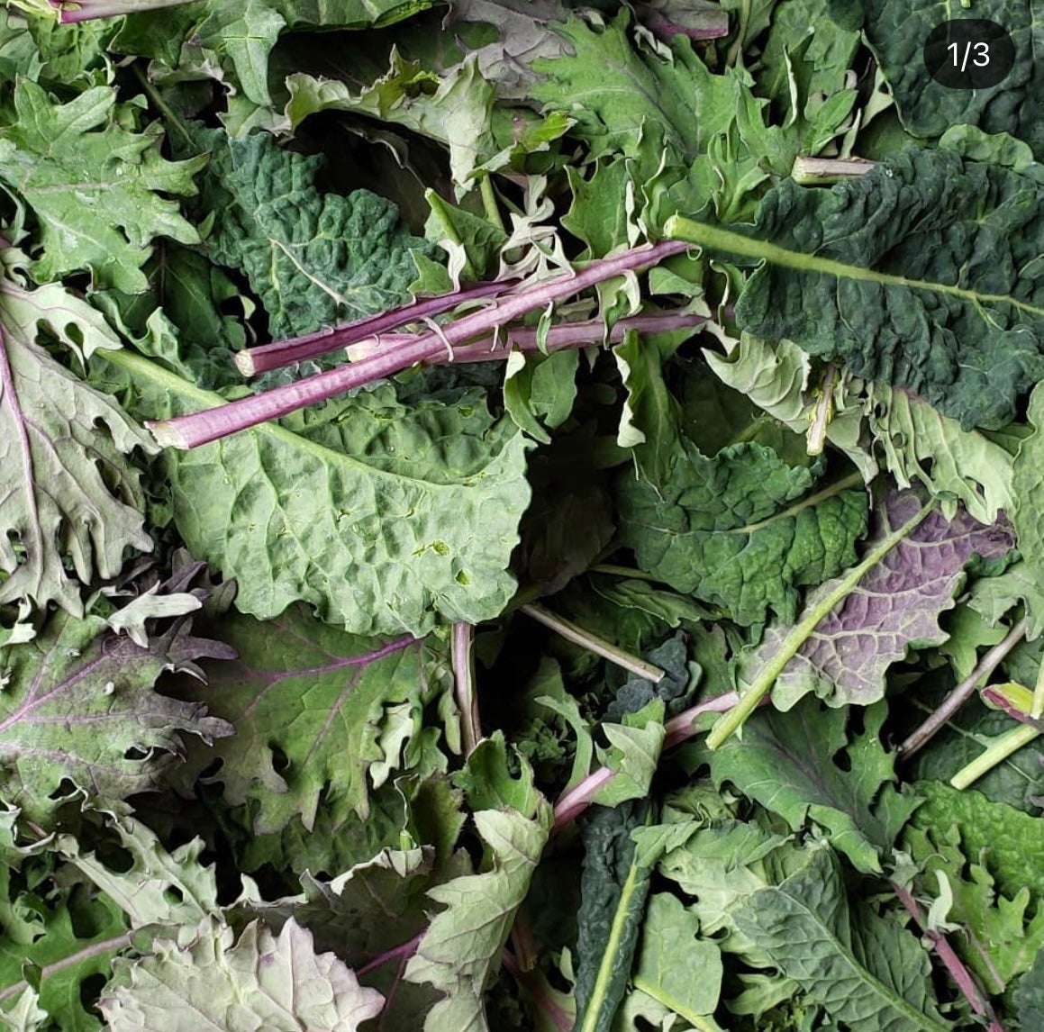 Easy Pickin's Orchard